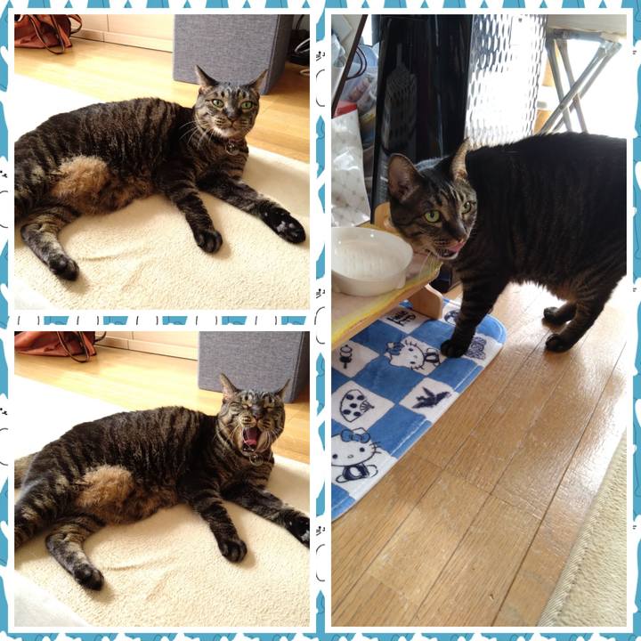 23feefd7 568a 477f b34f 64773c6ab62a 1761962983853