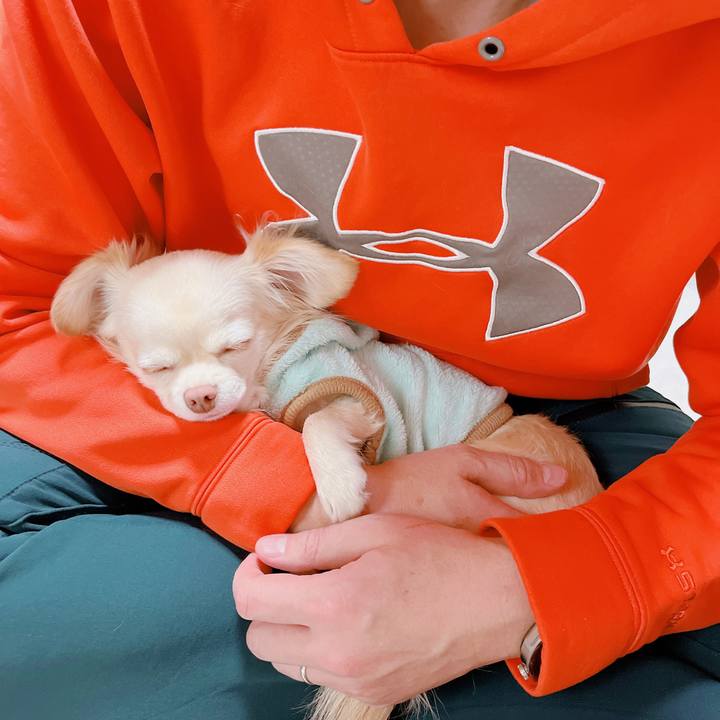 23ff7eba 5da4 41a5 9cd8 07c4f2ee989b 1672991342408