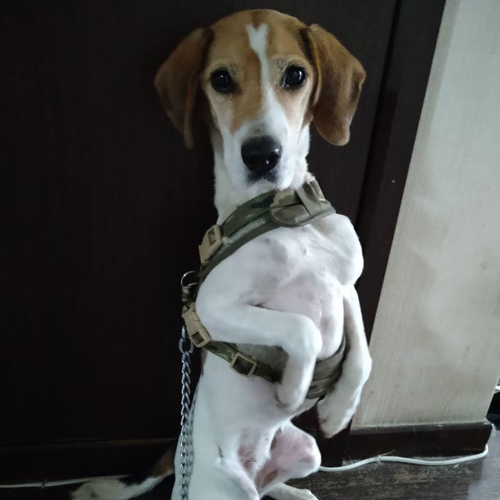 23ff8911 0fcc 4345 9ea5 0abb170768dc 1671707647414