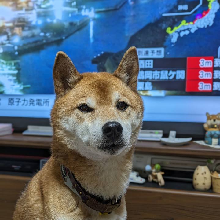 23ff97d9 ccd7 43a9 9636 f01b7ec9068a 1704098523714