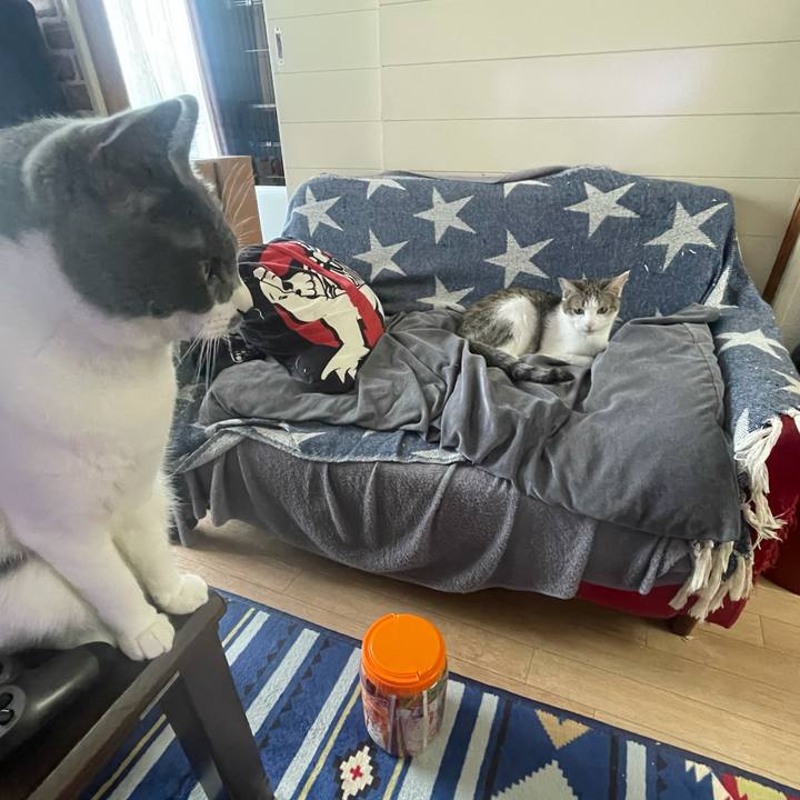 23ffe848 0c3b 43a0 873b 8242a0b0a16f 1627108562588