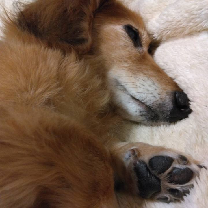 2400aa3d c77c 4e8a a64b afacdcd963b1 1674050186149