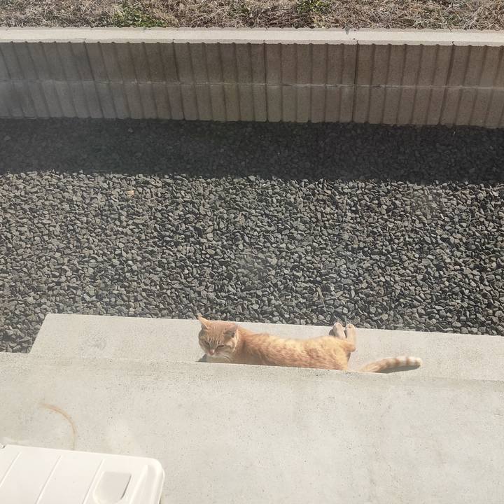 2400bab6 8df8 43af 8d16 bc37d9a212d0 1676522867022