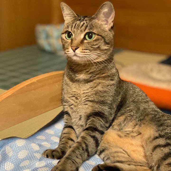 2400bef3 f649 4383 a778 950b9bfcb539 1559310789254