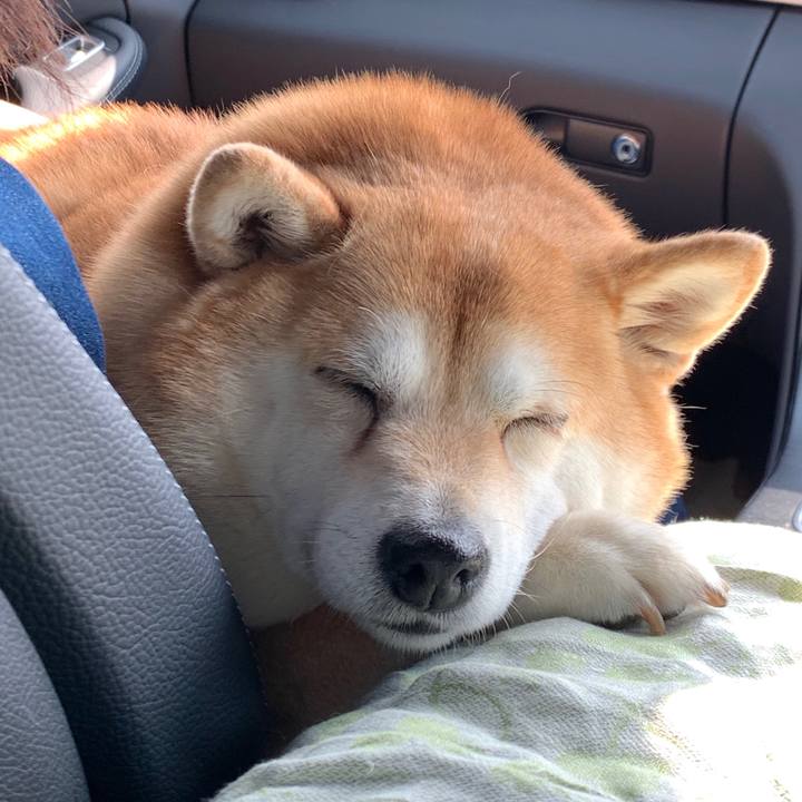 2400f53a 4d54 4975 8490 a080e44f9829 1624017481474