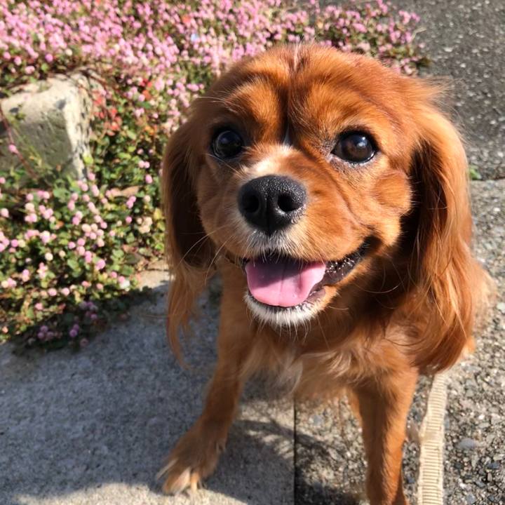 24010a12 b6fb 4a00 b94f 46485318266e 1572166842331