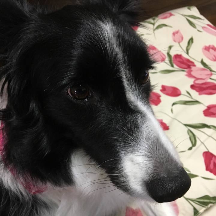 2401170e 22a2 422f a663 260142b54d38 1538346254158