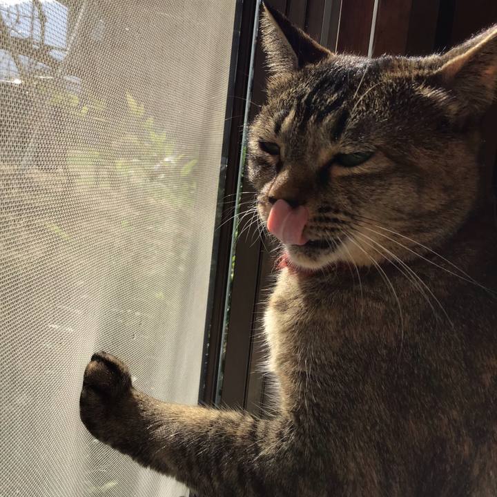 24013a4b 62e2 4368 aed9 68b93b840a89 1633308341748