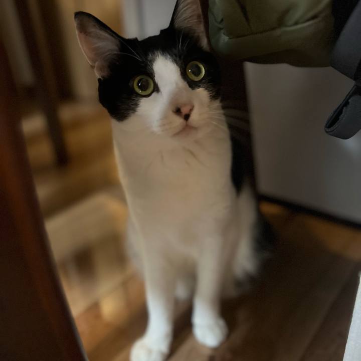 24013dd2 78a3 4c15 adc8 eb32aa063e1f 1723988020433