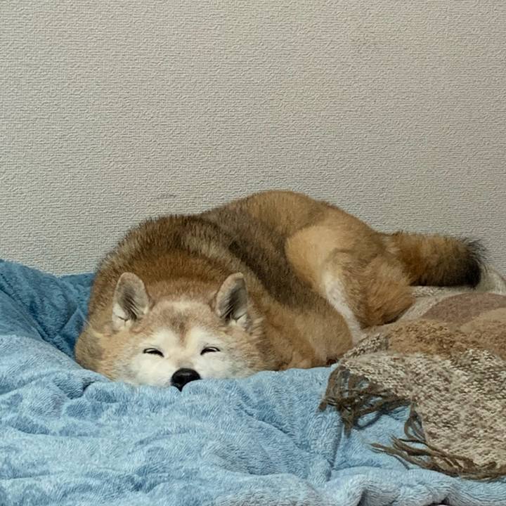 24015152 da3d 4f94 8ca8 e6c1fc3ad696 1677335188982