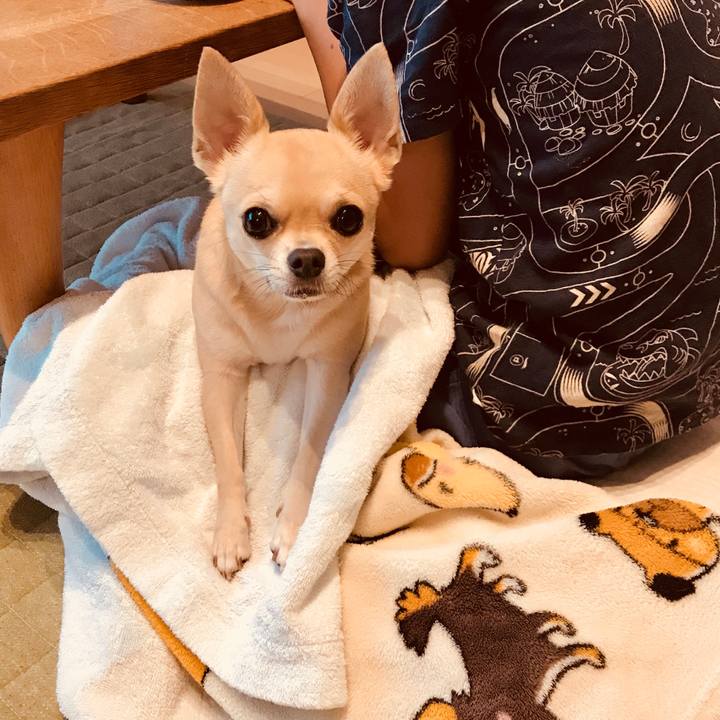 24015ba2 68ad 4022 96f7 4cf18e3204df 1537576751015