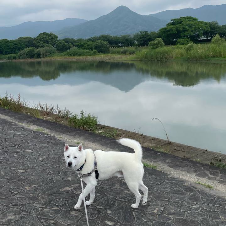 24016809 b8c9 4696 a9fd 66e4b3947688 1717284152523