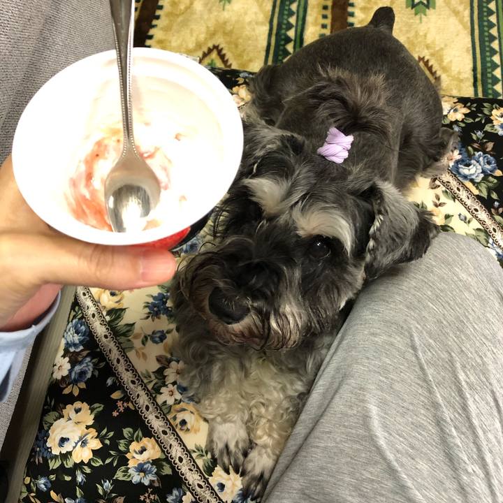 24018252 99c7 4e01 88cd 858ecdb488da 1595037255854