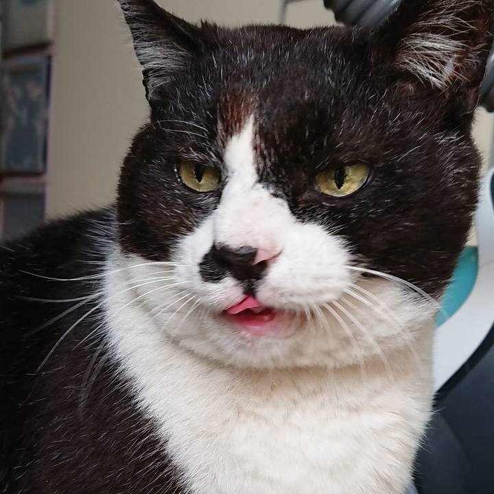 240196b7 ce17 424f 9a24 be8599d89f85 1652193631827