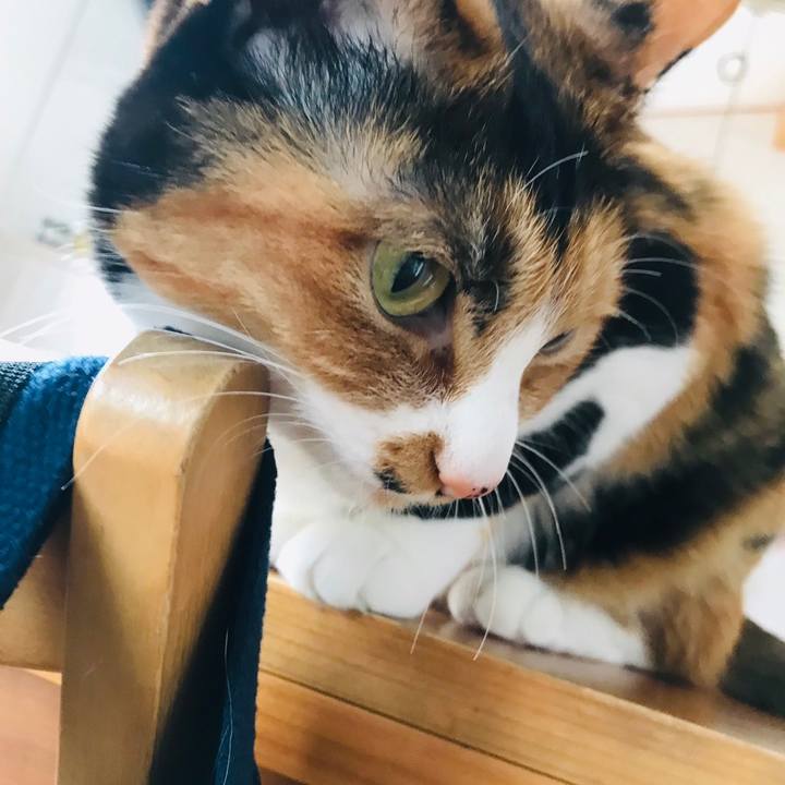 2401bd4b e91f 4ff0 8de0 272747260e12 1588417657649