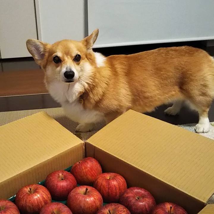 2401d6b4 f282 4e17 8ac3 a296a2e3a913 1639629534875