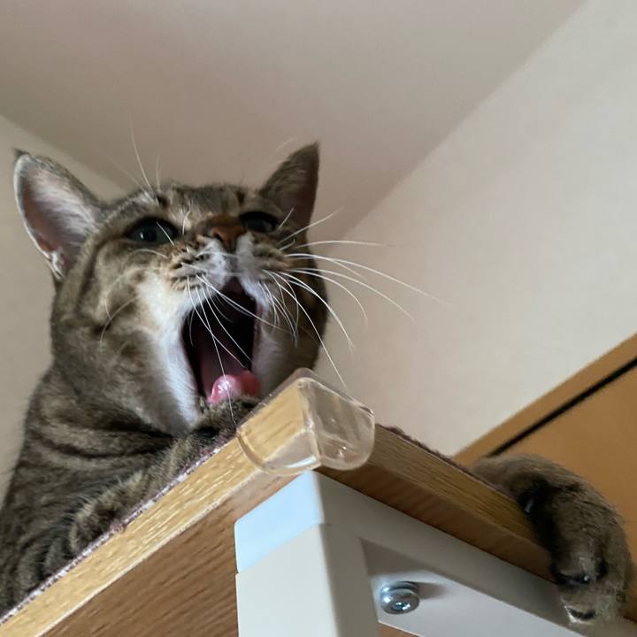 24020c91 8625 4b24 a0e4 670aa2549ab6 1763377424025