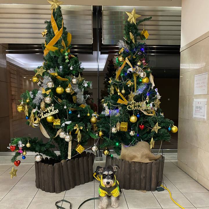 24021089 40c5 4980 9210 b55b18ad10e1 1577191341426