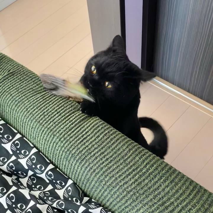 24023337 5936 4164 b037 7c6abf064542 1632094811099