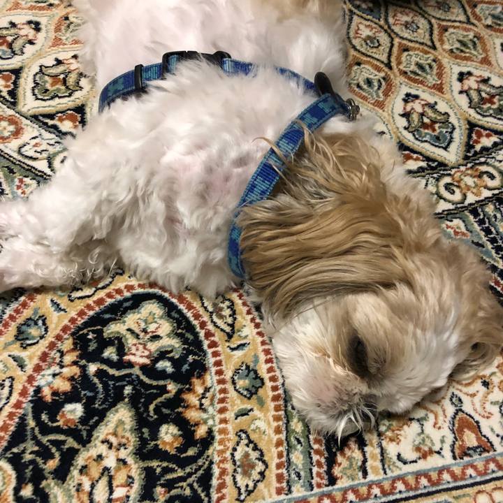 24029165 2fcb 4fe3 b1d4 14fb1dc6bb49 1540160711889