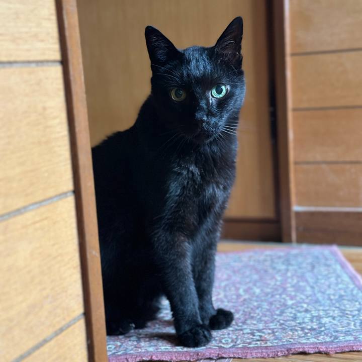 2402a449 1fc4 498f 87c0 fef0b1613377 1688520773556