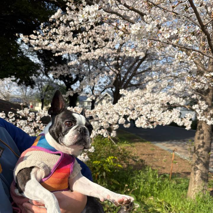 2402aba9 a3eb 4589 b3f5 2e150f7a58ab 1743585055047