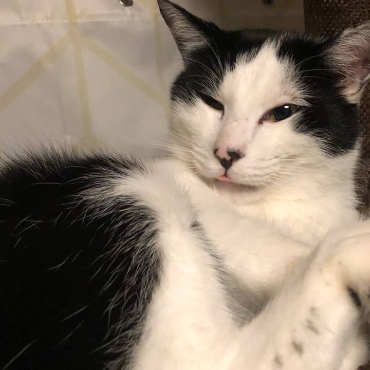 2402b7aa 6683 4817 a784 2faa9f1461bd 1573152973284