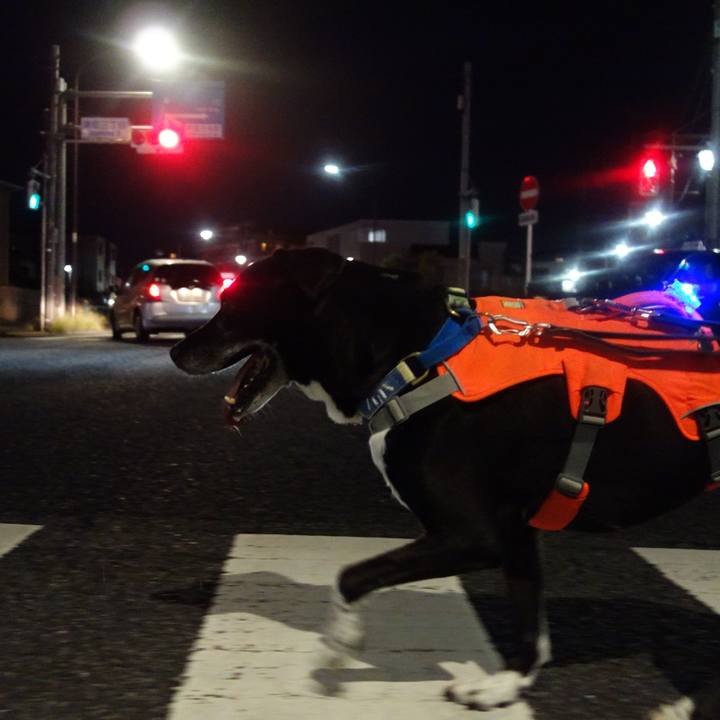 2402c078 0c0d 42f0 b296 e0bd247d0c81 1726138986900