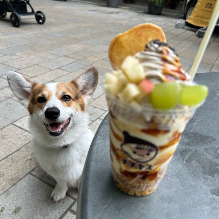 240304da c233 4b30 b281 54571dc7184a 1762786761979