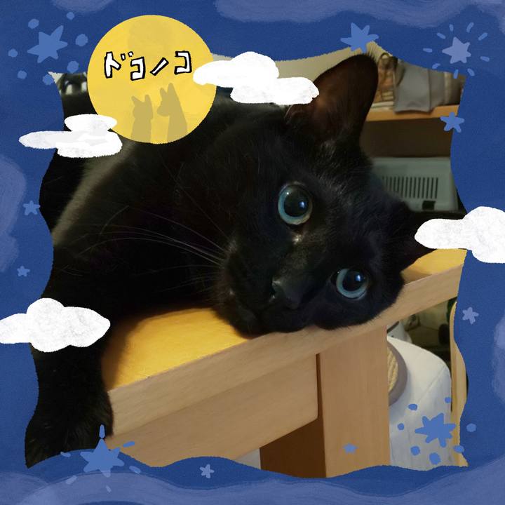 24033b6e b193 4a86 87ed 2b46a66b2a0c 1726879346042