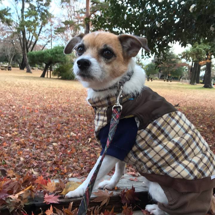 24034075 88c3 4889 9873 5ccb982fc640 1544599878027