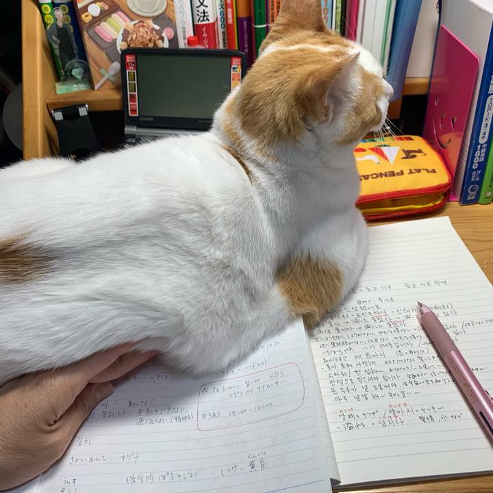 24034bac 3d1c 4f45 8de2 ede47d4c4f8e 1620593289452