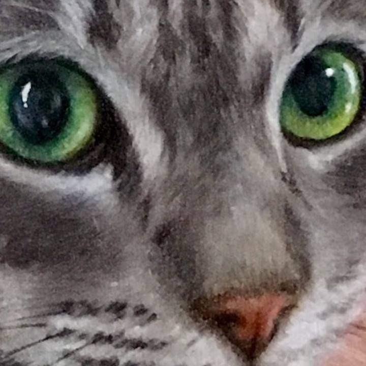 24037529 b601 44b2 95ea 6e027216f779 1568419635071