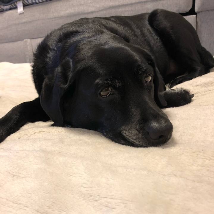 2403b428 a61b 4fc8 9883 241a33f1e5d0 1549414025354