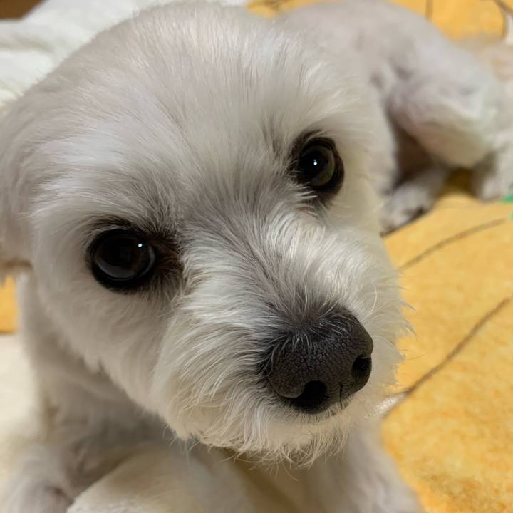 24040d57 cf7b 4f02 8e25 d81c165b833e 1589279253731