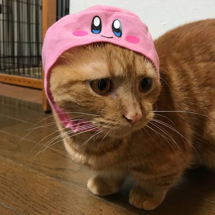 24041781 c9ae 4e96 a60e 1bbeac1758c2 1536902378610