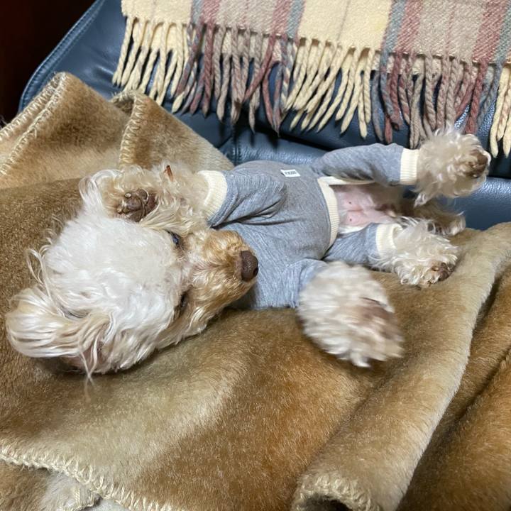 24048645 9fba 4a89 80d6 dfd6a89bdbfc 1619786448911