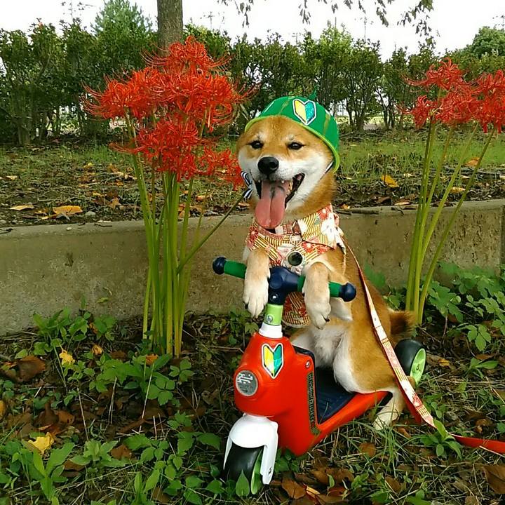 24048d51 4d19 4e75 be5a edc962eb14e6 1537682308095