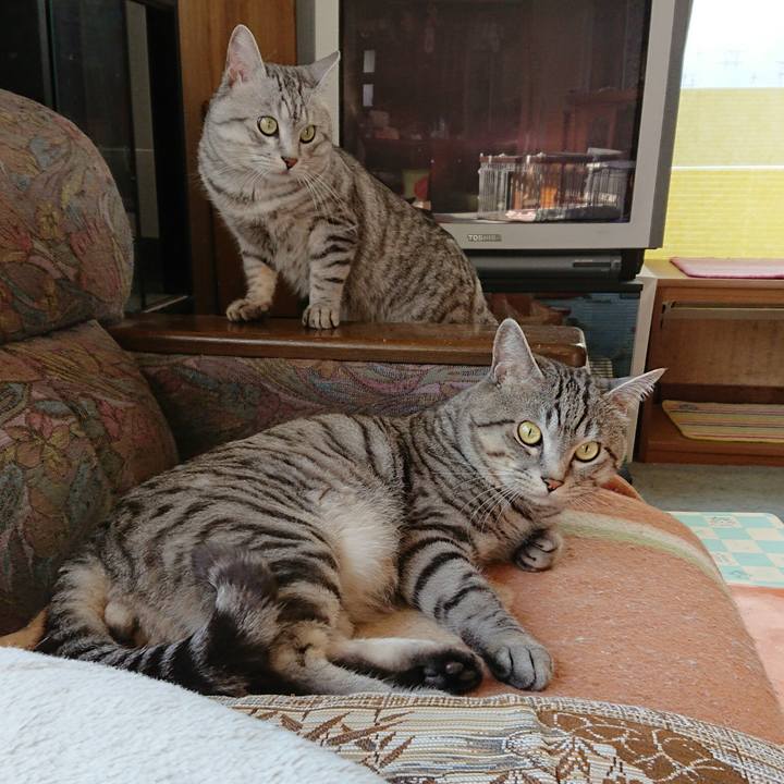 24049e50 5fc2 419b 9099 c1b4e5fea9c5 1550191143317