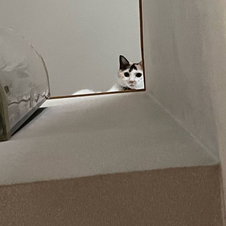 2404f2d0 386c 4347 bd2a d2e2f119e94c 1725146826947