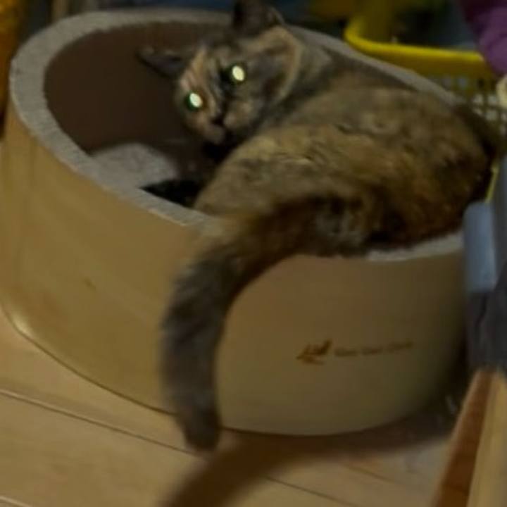 24051a15 58b2 4c4a a9d7 ae172644eda7 1745093202746