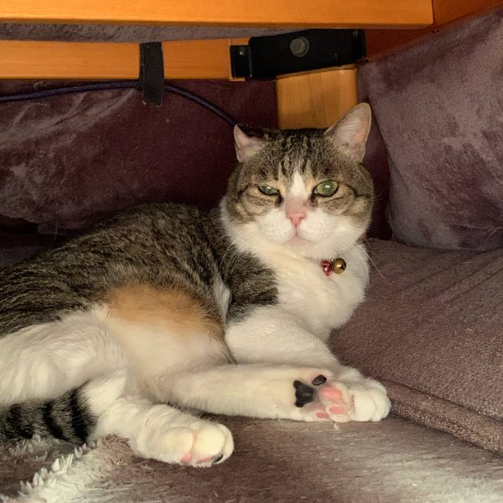 24054e8e 2f28 4641 9b4e a281656a7a3e 1703216474607