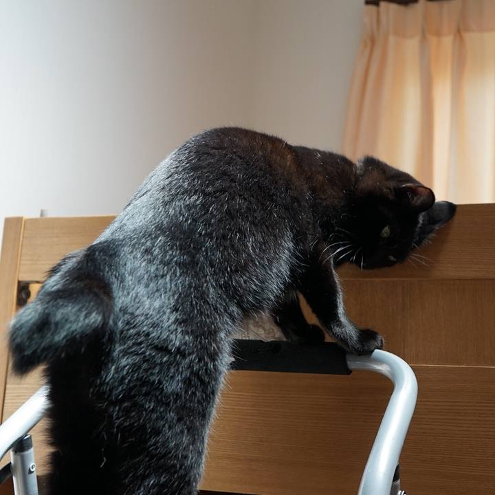 240551c8 f417 4b51 ae03 0ead0e03050b 1560391858901