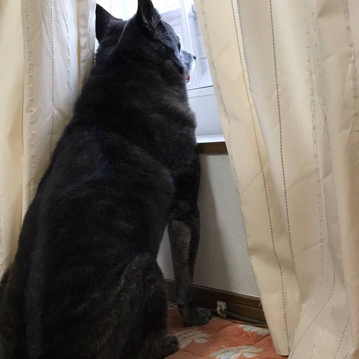 240567c0 e11f 4246 bd89 6d5bdb5b9db3 1542891977677