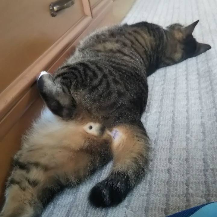 2405fe48 98df 409c 8dbd a4032661aa58 1624510235446