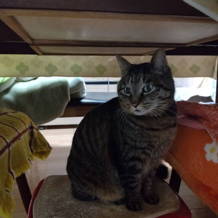 2405fe64 bc60 4f25 8439 0b88d882fb8b 1713564816839