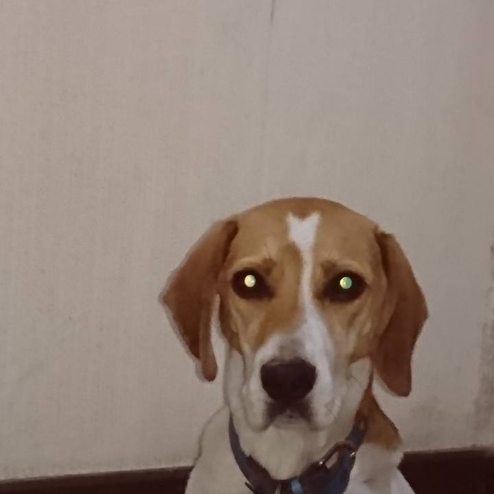 24061c79 f735 42bb ae62 b74252e69643 1570885168526