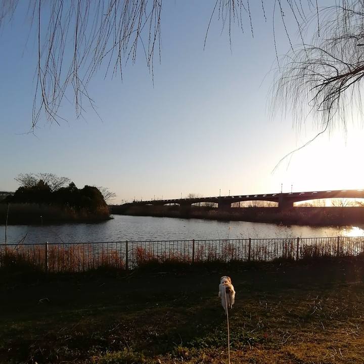 24064396 9553 4370 8783 42918362ed42 1613474872795