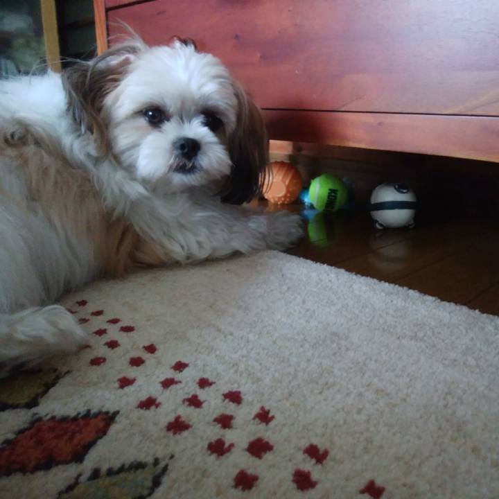 240655ca 2bd1 4c8a 956a 172e5d57aa43 1528581861454