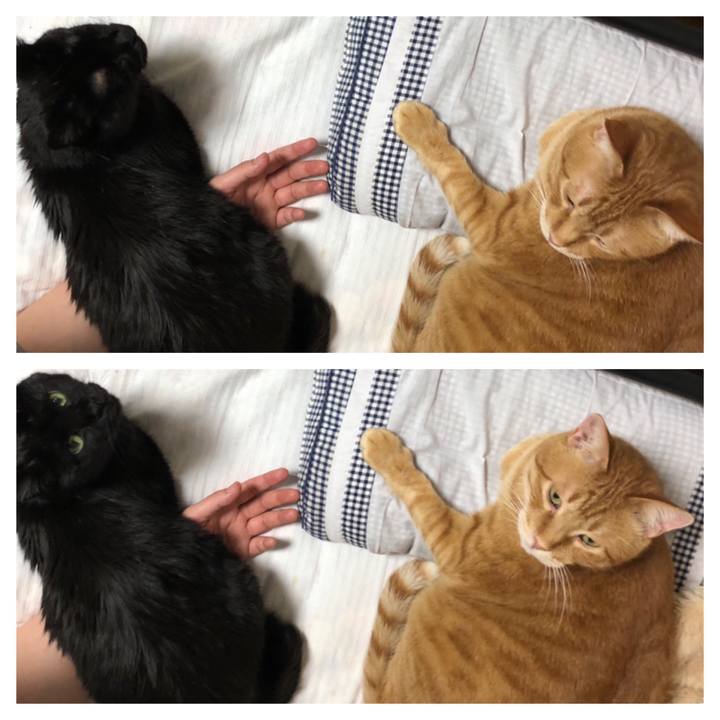 240657dd 92b9 495f 9d4a a19ffd50b817 1583239272796